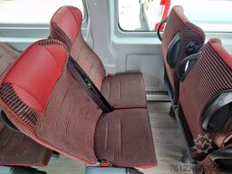 FIAT 1x Ducato 1x  Opel Movano 18 SS  in Stock