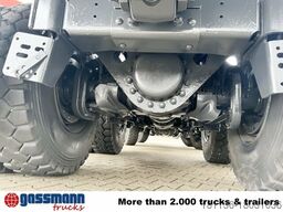 Tatra Phoenix 8x8, Stahlmulde ca. 22m³, hydr.