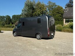 Opel Movano Krismar 1-2 Pferde Hengstversion/5 Sitze