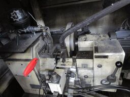 STRAUSAK S60