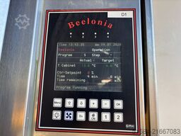 Beelonia TF5