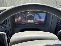 Renault Midlum 300 4x4 Winterdienst / Swiss-Vehicle