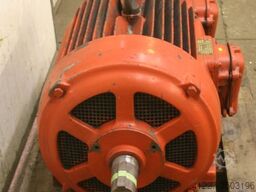 unbekannt hOR1371-8D