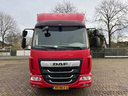 DAF LF 260 FA