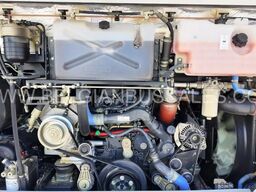 Iveco Crossway LE 12m / Voith / NEW / 38  V...
