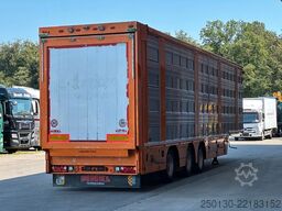 Finkl SAV35 4.Stock Hubdach Lift Tränke Tridec