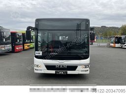 MAN A37 Lion?s City/Euro6/Klima/A20/A21/O 530/Citaro