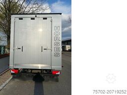 MAN TGL 8180 Gimmel 1-4 Pferde Wohnmobilzulassung