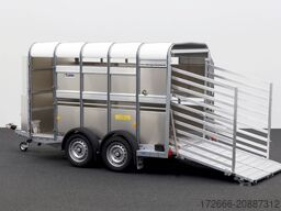 Ifor Williams TA5|10x6|RAMPE-/TÜR-KOMBI 311X156X183cm