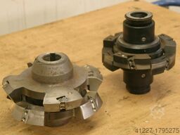 Leuco verschiedene Größen