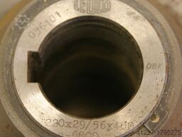 Leuco verschiedene Größen