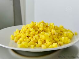 Alistar Europe CD1500 cube,strip cutter