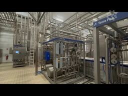 DOMINO A3/Speed V040