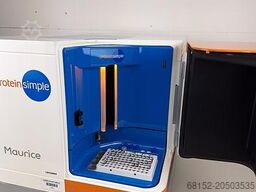 Protein Simple Maurice IgG