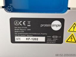 Protein Simple Maurice IgG