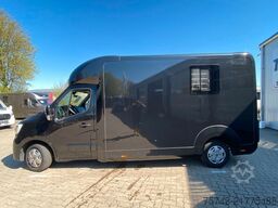 RENAULT Master STX Haras 3 Sitzer