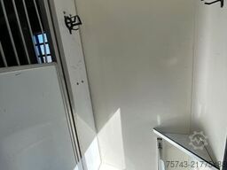 RENAULT Master STX Haras 3 Sitzer