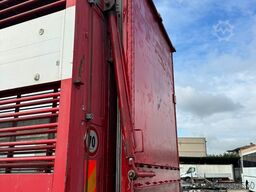 SCANIA P 320 TRASPORTO ANIMALE 6X2