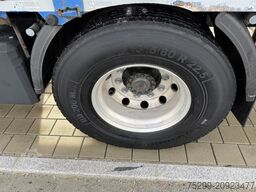 Renault D Wide 18.380 4x2 F135A.22 / Swiss-Vehicle