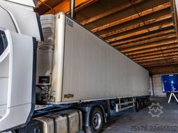CHEREAU CHEREAU+CARRIER VECTOR 1350