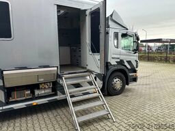 Scania P230 TOP: multifunct. ruimte met airco (camper?...