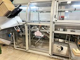 Baumer FLEX 512/3