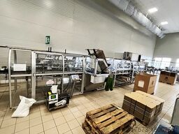 Baumer FLEX 512/3