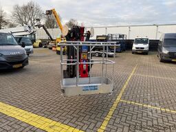 Platform Basket Spider 15.75 pro