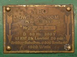 AEG DWS-300/1100M