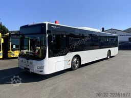 MAN A 21 Lion´s City