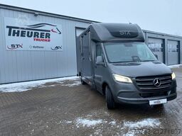 MERCEDES-BENZ STX Sprinter  GG 4,100KG  Haras Hengste