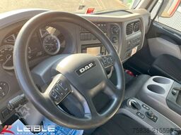 DAF 7,5t LF 210 FA *BÄR-LBW* Reifen 80% *Klima*