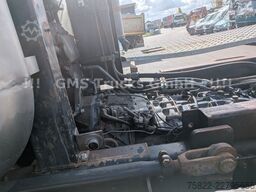 IVECO Trakker 450 / 8x8 Allrad / Agrotruck