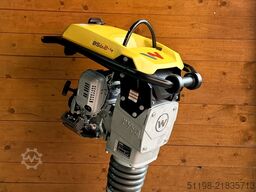 Wacker Neuson BS 62-4 A Stampfer NEU Aktion!