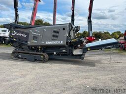 Komplet Krokodile / nur 76h! / 2022 / Schredder