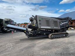 Komplet Krokodile / nur 76h! / 2022 / Schredder