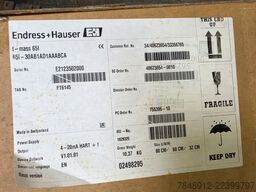Endress + Hauser Proline T-Mass Flow Meter