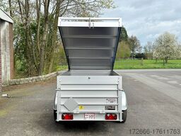 Koch 4.13 I EDITION 35 I 2XBWE 250X125X80CM 1300KG