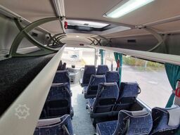 TEMSA 8 units Prestij SX,Novo Lux, Daily, Atego