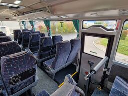 TEMSA 8 units Prestij SX,Novo Lux, Daily, Atego