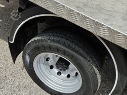 Oil&Steel Snake 21.12