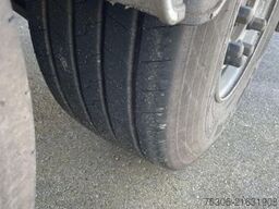 WIELTON Weight Master per 55 cbm