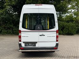 MERCEDES-BENZ Sprinter 313 Cdi BlueTEC Maxi 9Sitze Lift Klima