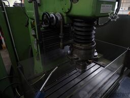 HAUSER 3 SM-DR