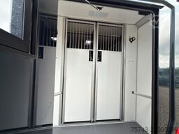 RENAULT Master STX 5 Sitzer Haras ex. Lang Automatik