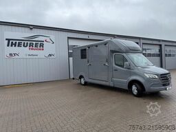 MERCEDES-BENZ STX Sprinter  GG 4,100KG  Haras Hengste