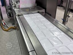 Multivac R 245
