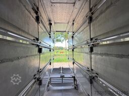 Pezzaioli 5 stock Livestock Full options