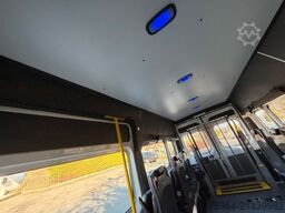 FIAT Ducato 3.0 CNG/Erdgas 9 Sitze Schiebetür Klima