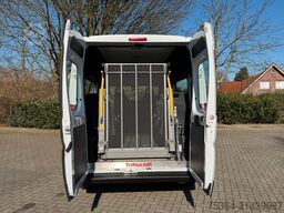 FIAT Ducato 3.0 CNG/Erdgas 9 Sitze Schiebetür Klima
